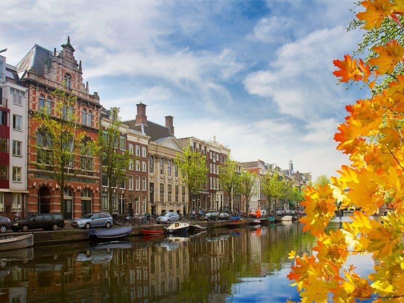 How to Export to the Netherlands