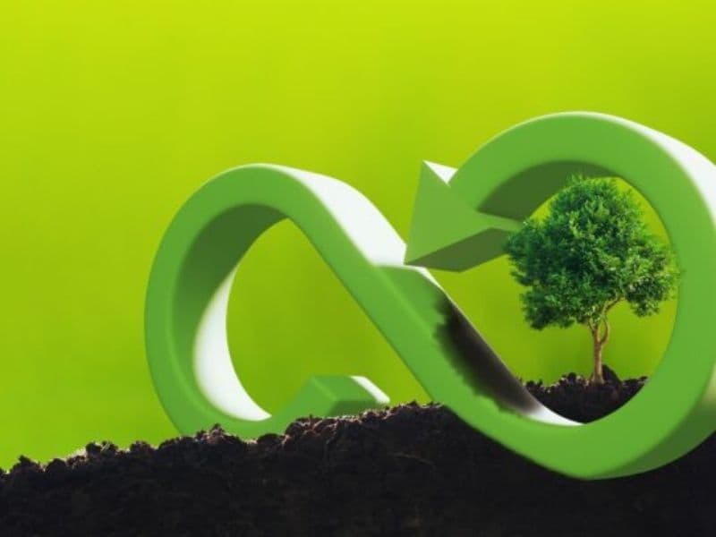 Green Transformation